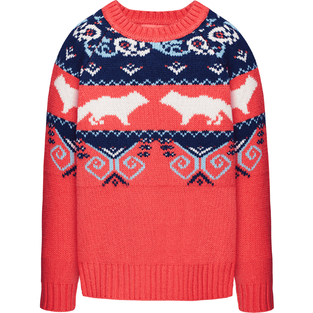 Sweater Colorful